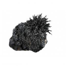 Piedra de Imán Vivo